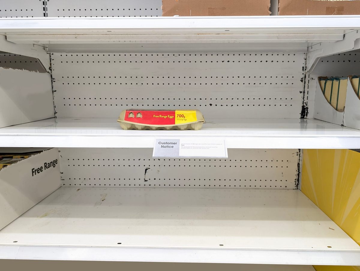 Nearly empty grocery shelf with a single carton of free-range eggs and a small "Customer Notice" below.