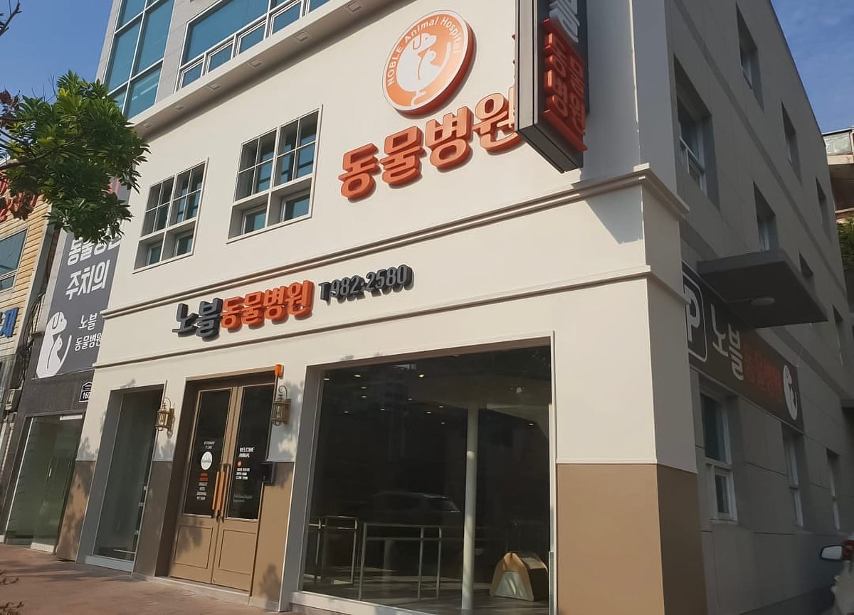 부산에 위치한 노블 동물병원의 외관
